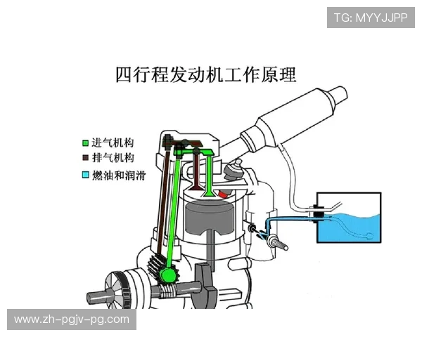 楼梯机健身器材的燃脂原理与训练强度调节